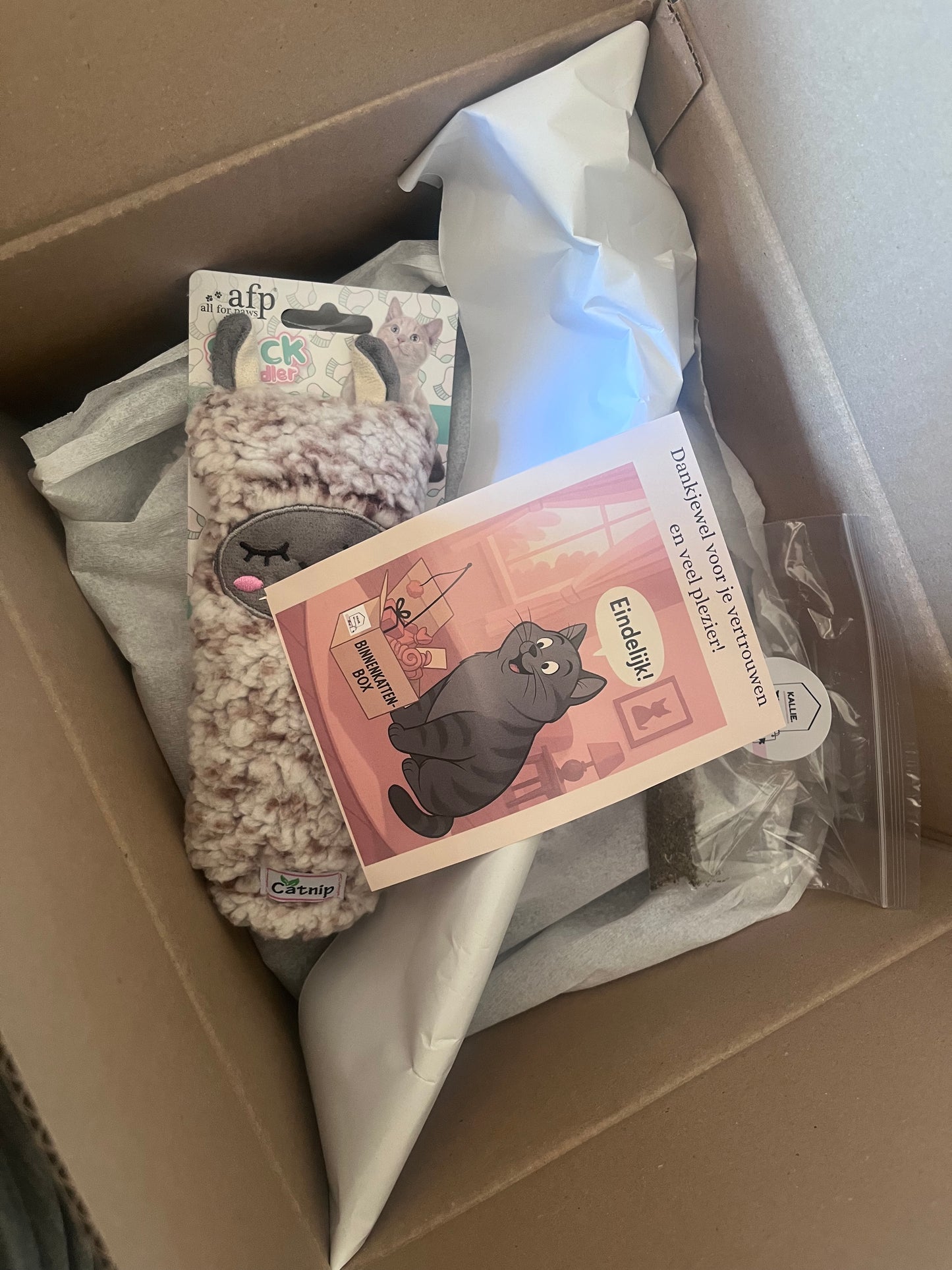 Binnenkattenbox (abonnement)