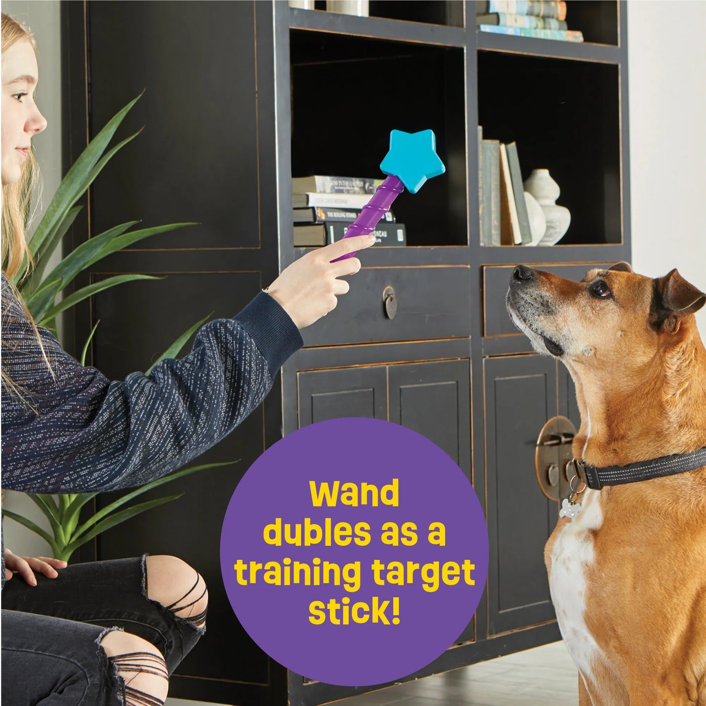 Magic Wand Treat Dispenser Star