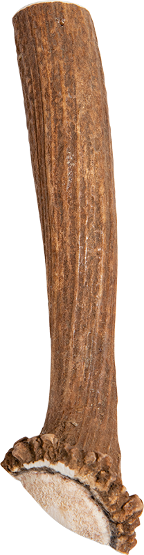 Hertengeweideel