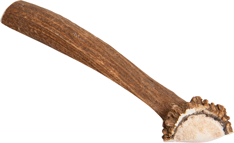 Hertengeweideel