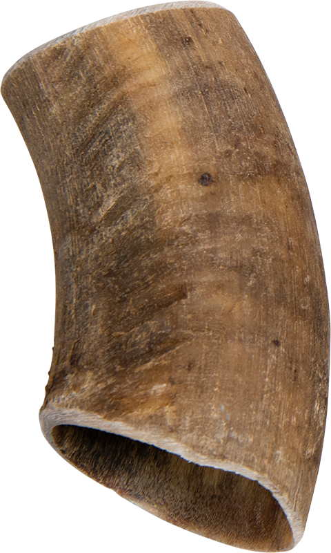 Veehoorn