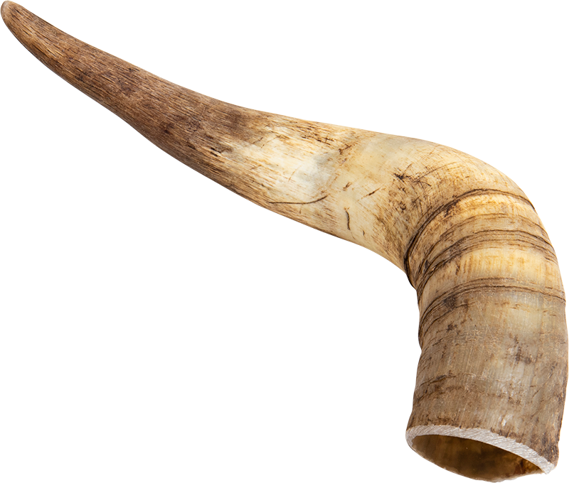 Veehoorn