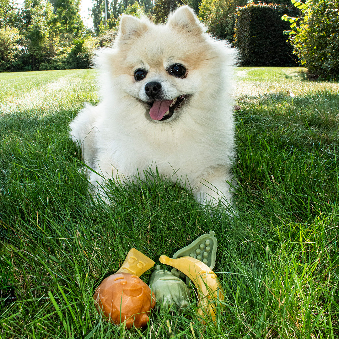 Garden Bites Fruity Friends - Fruitfiguurtjes