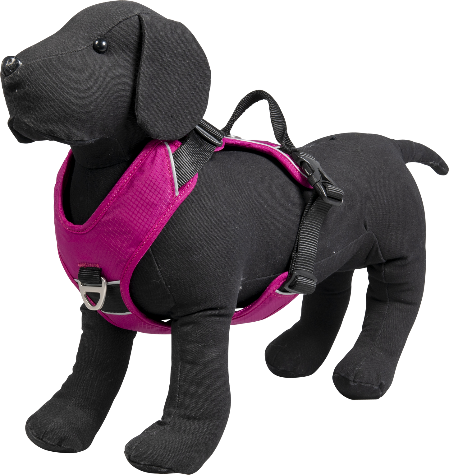 Expedition Tuigje Fuschia
