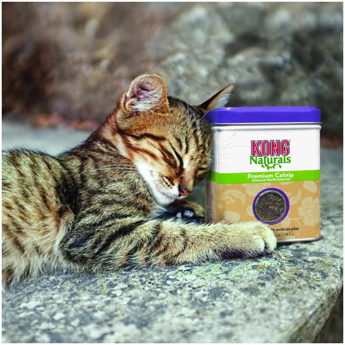 Kong Catnip Premium
