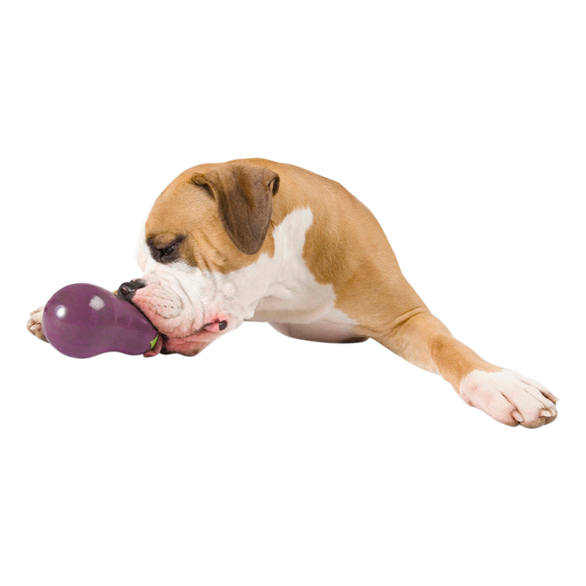 Planet Dog Foodie - Aubergine