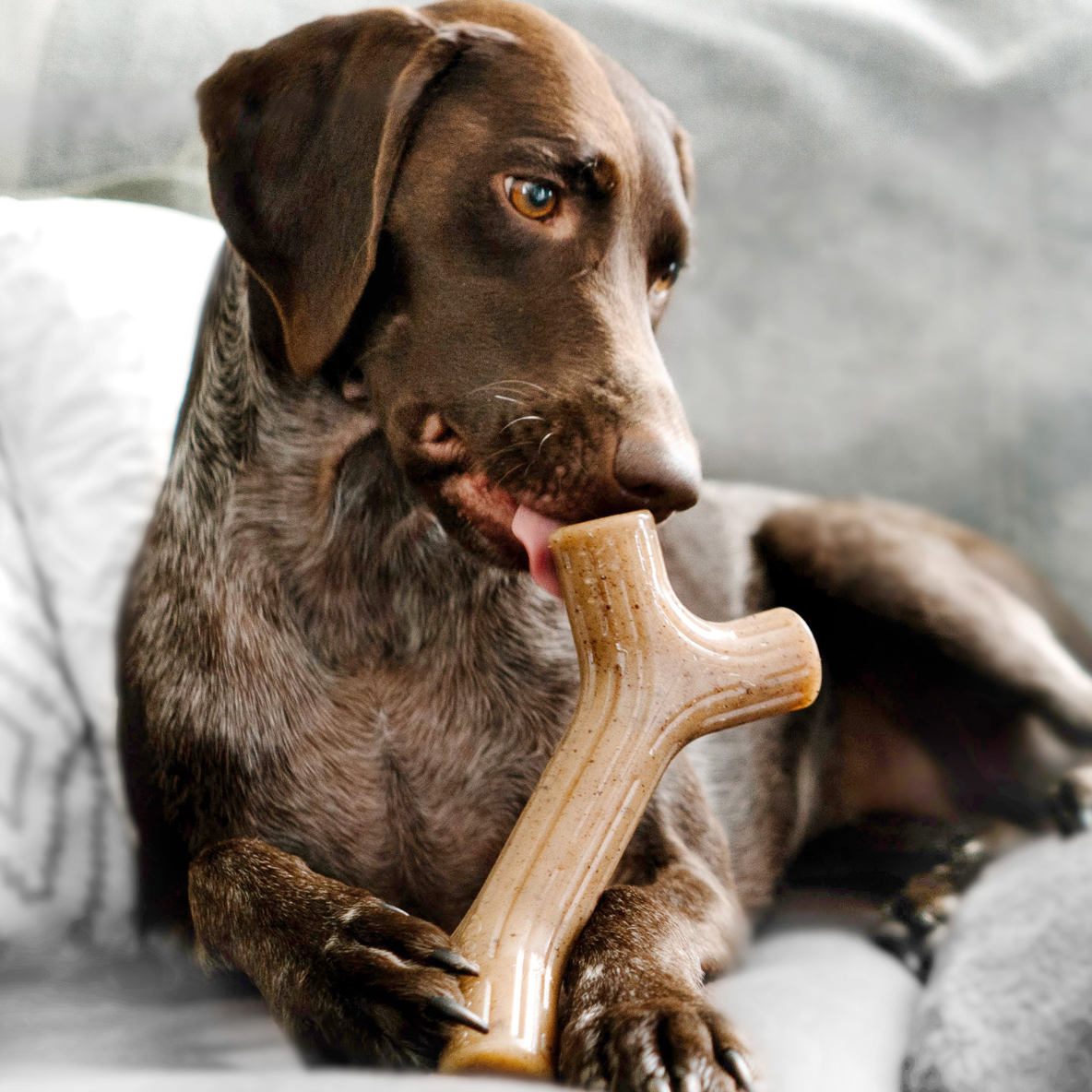 Benebone Baconstick (Bacon)