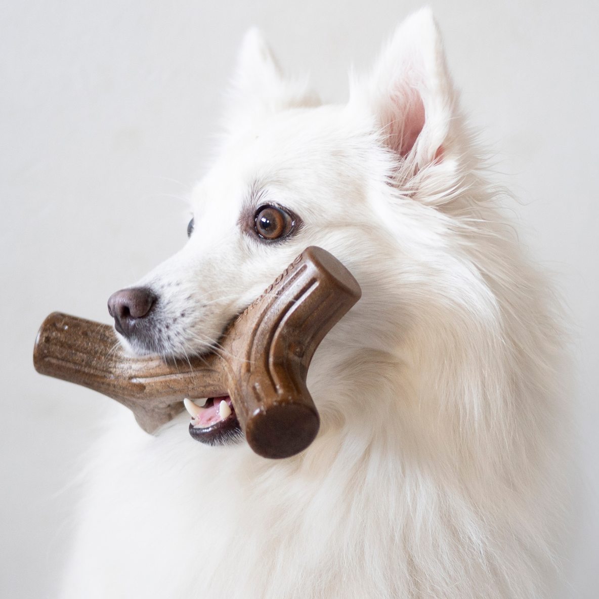 Benebone Baconstick (Bacon)