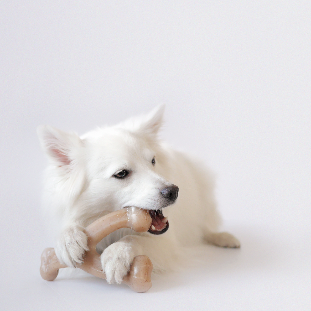 Benebone Wishbone (Braadkip)