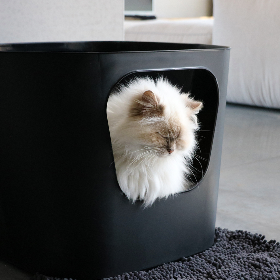 Dean Open Kattenbak