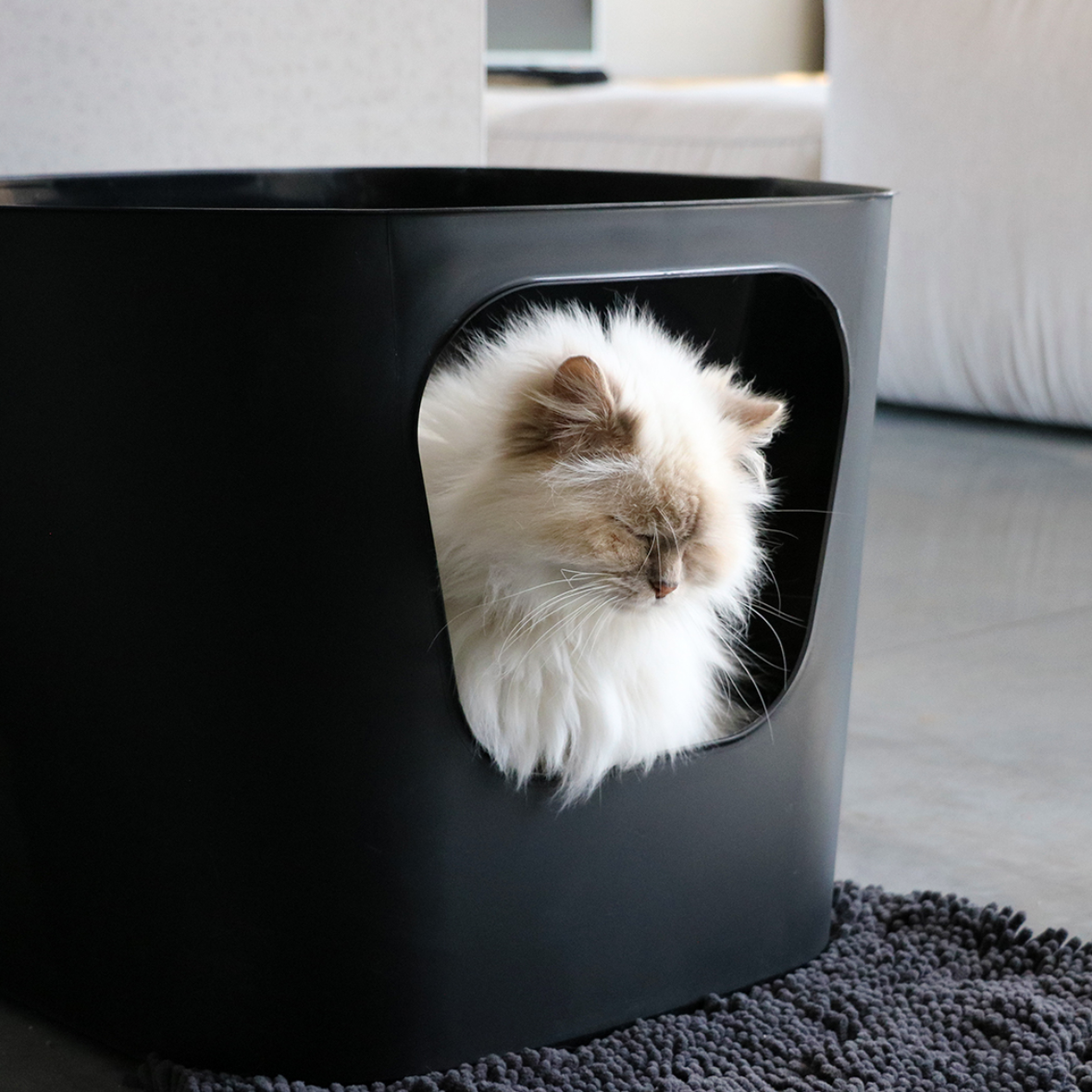 Dean Open Kattenbak