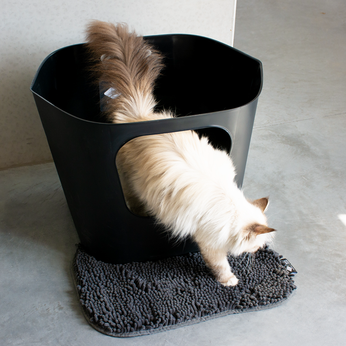 Dean Open Kattenbak