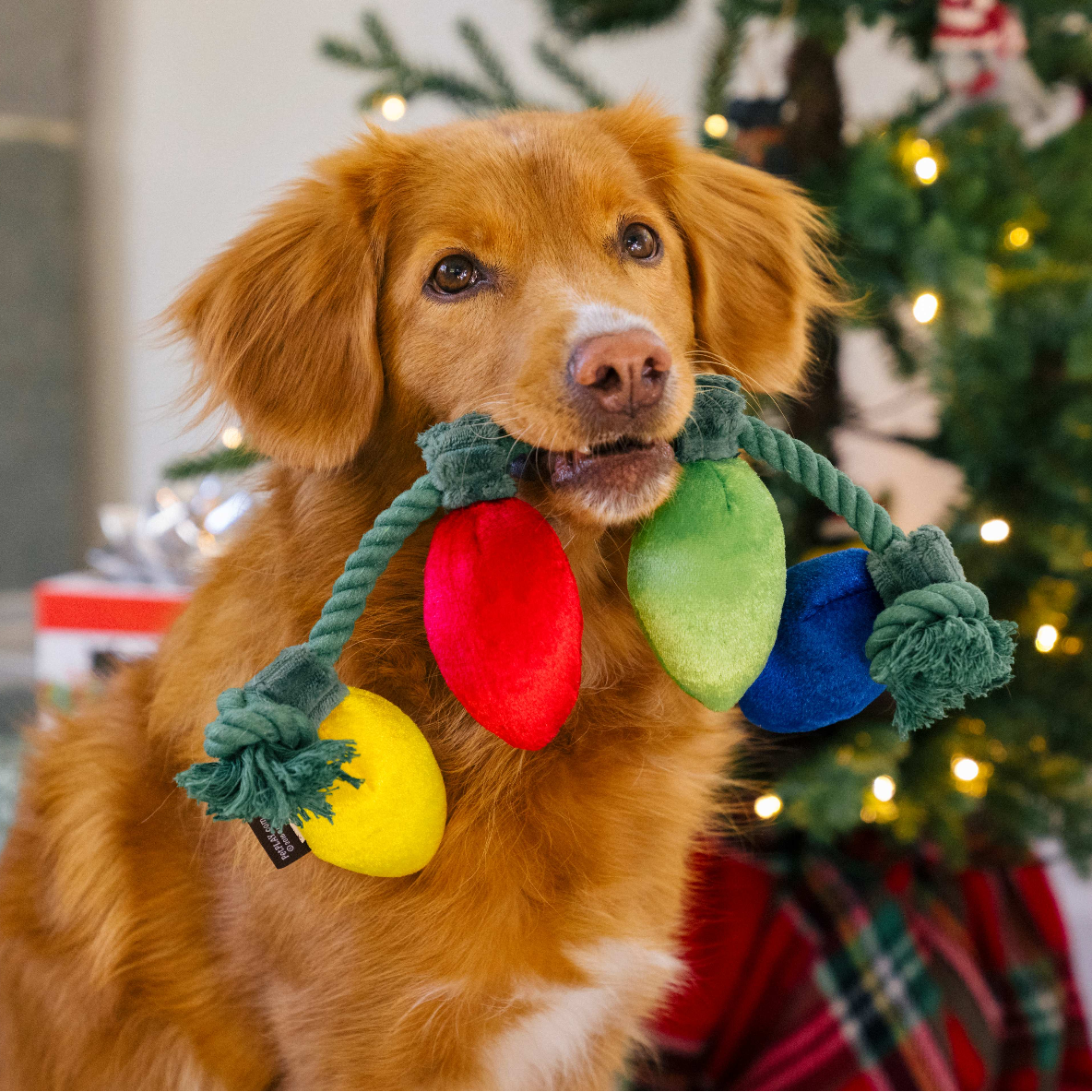 Home For The Holidays - lichtjesslinger