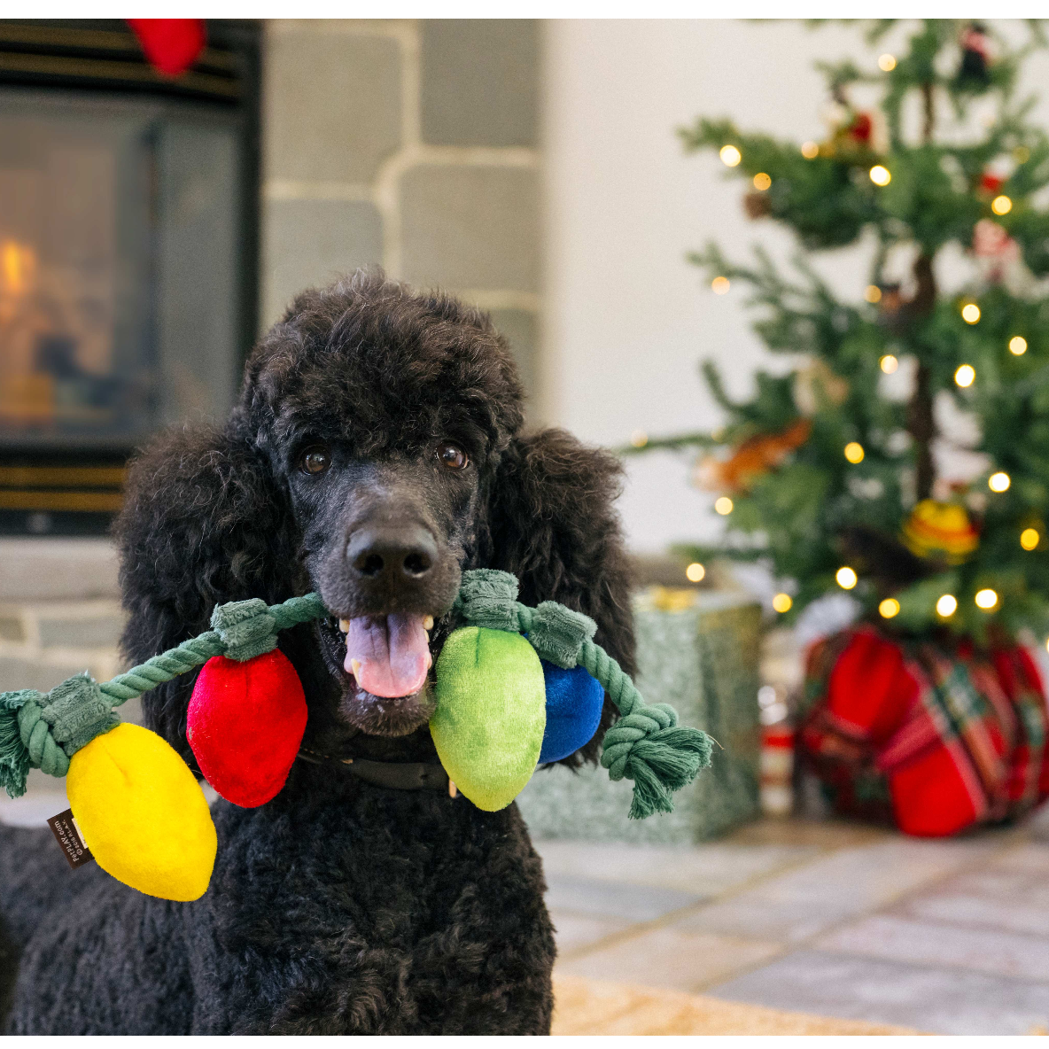 Home For The Holidays - lichtjesslinger