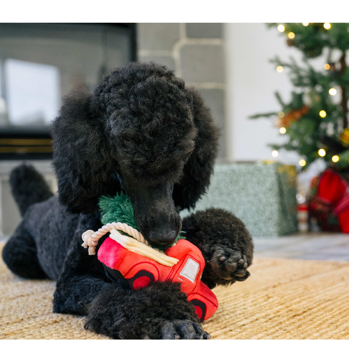 Home For The Holidays - kersttruck met boom