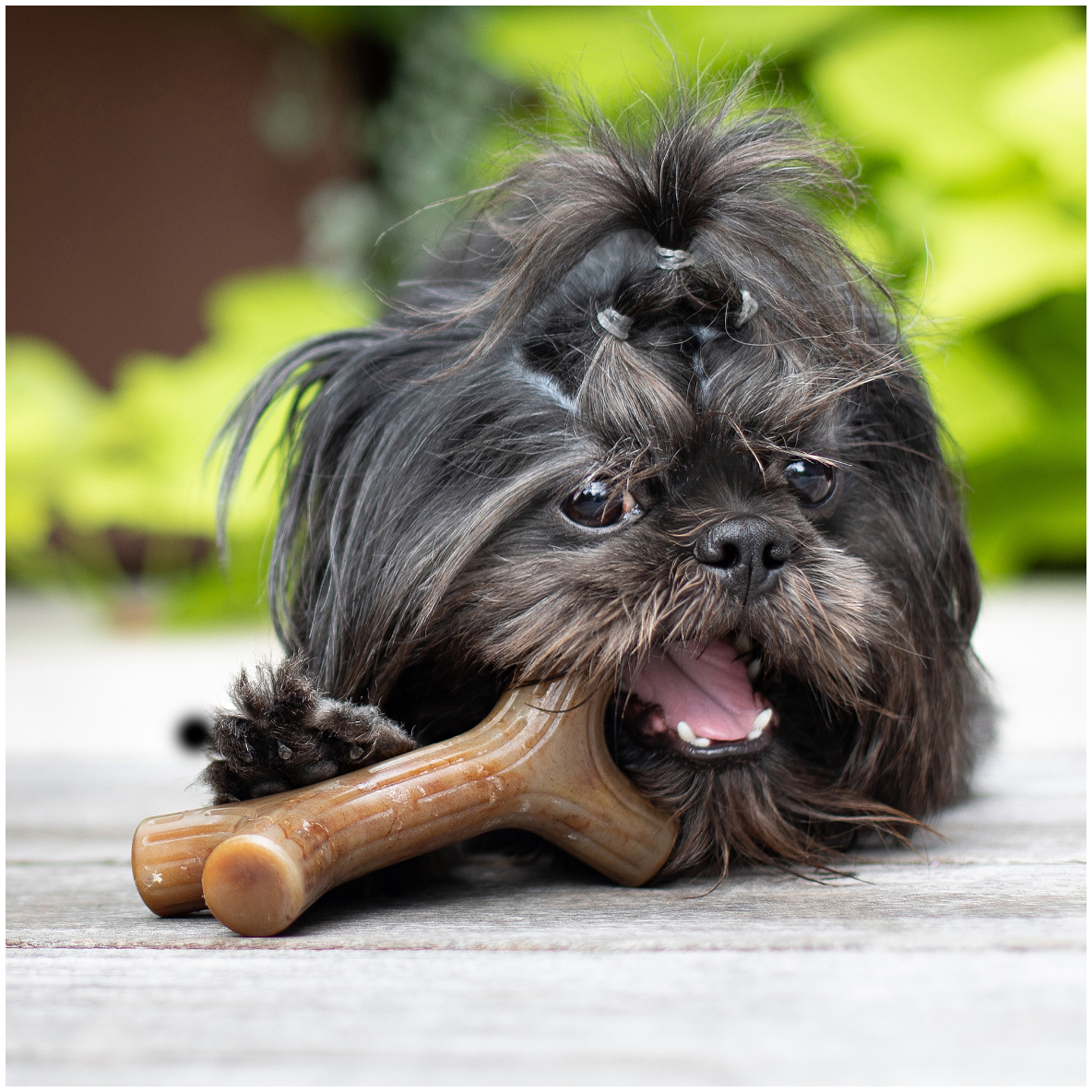 Benebone Baconstick (Bacon)
