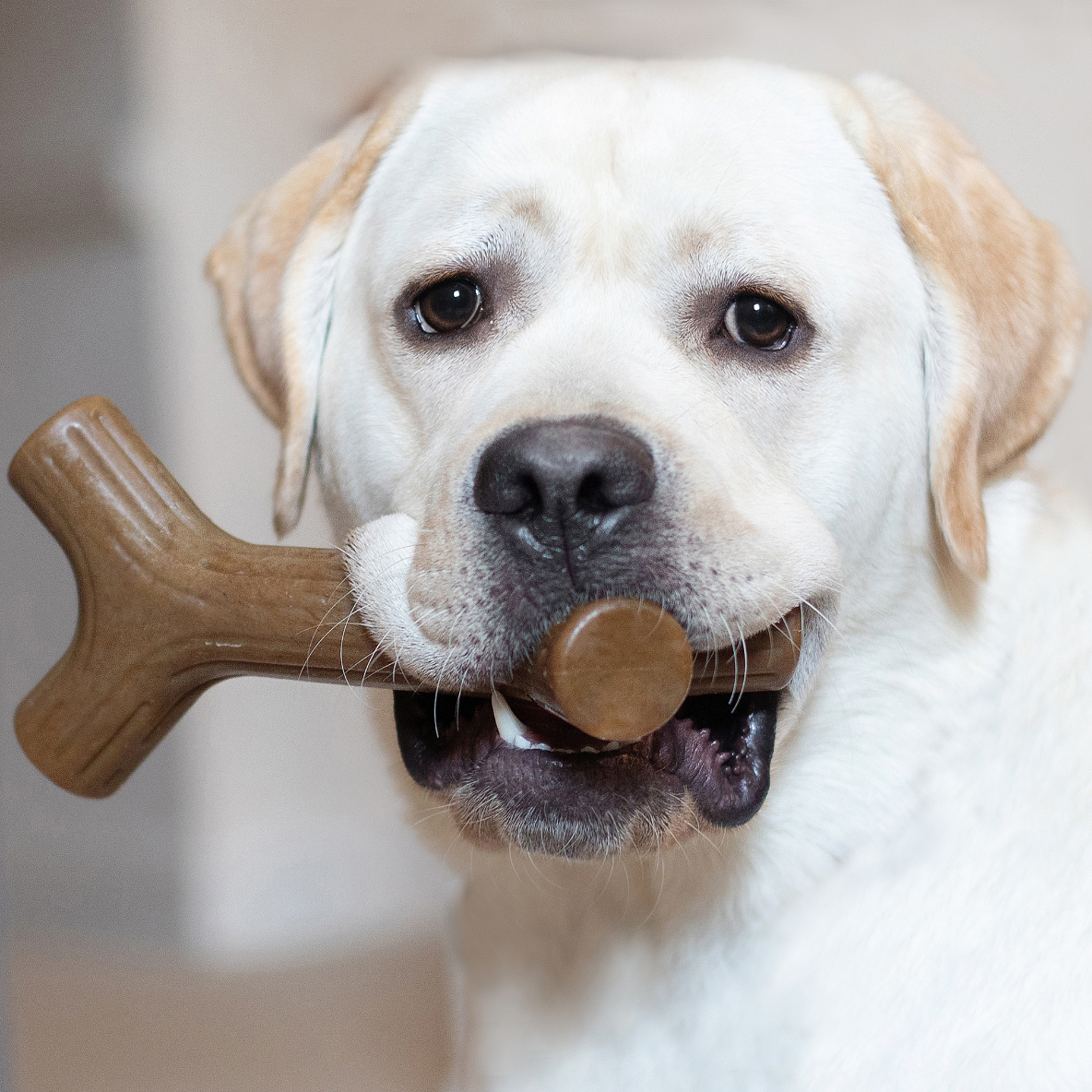 Benebone Baconstick (Bacon)