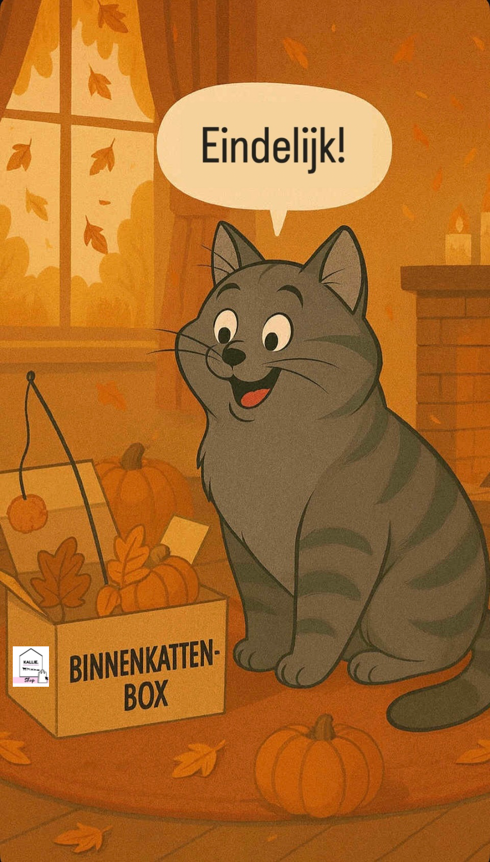 Binnenkattenbox (abonnement)