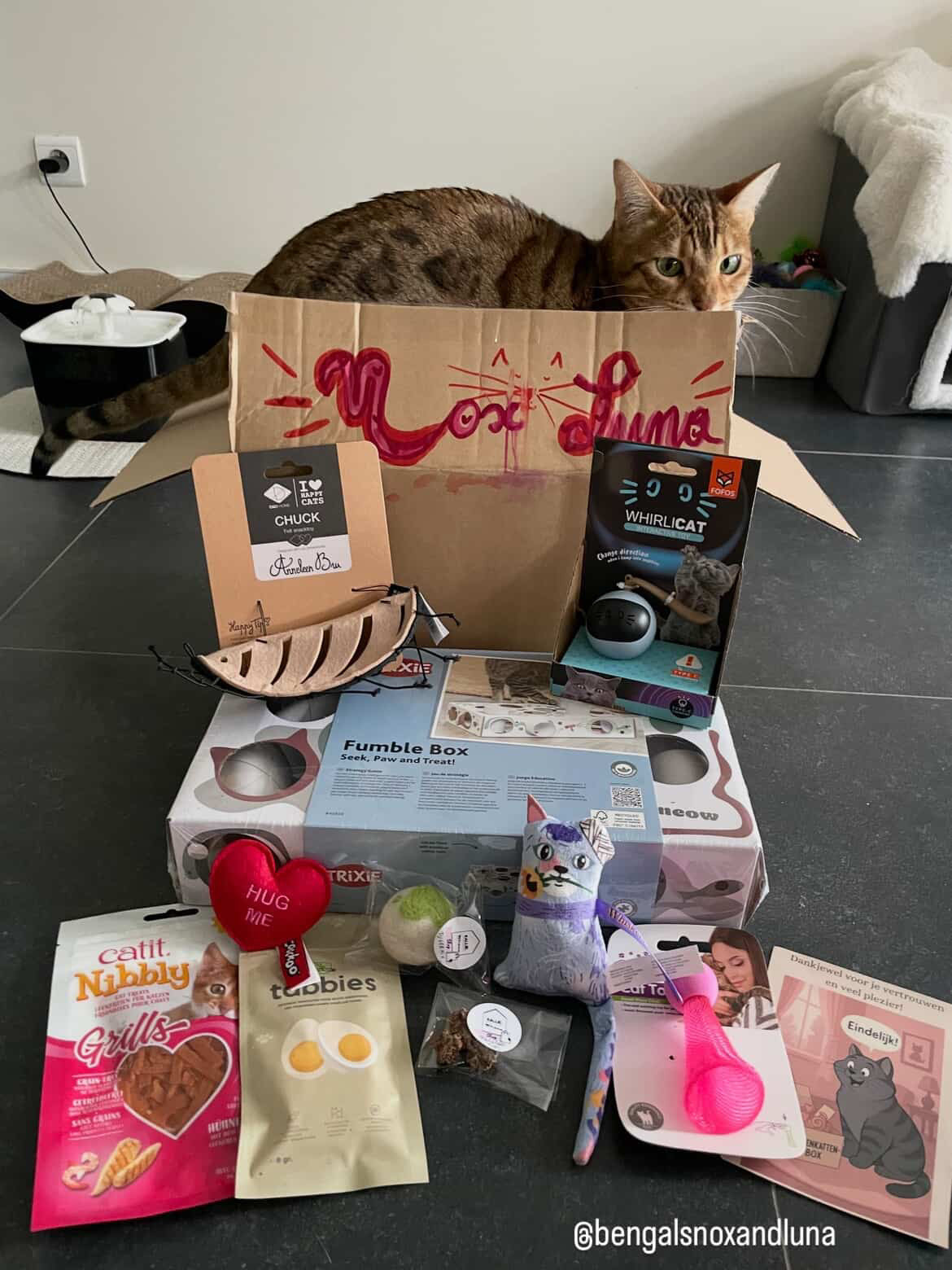 Binnenkattenbox januari - los