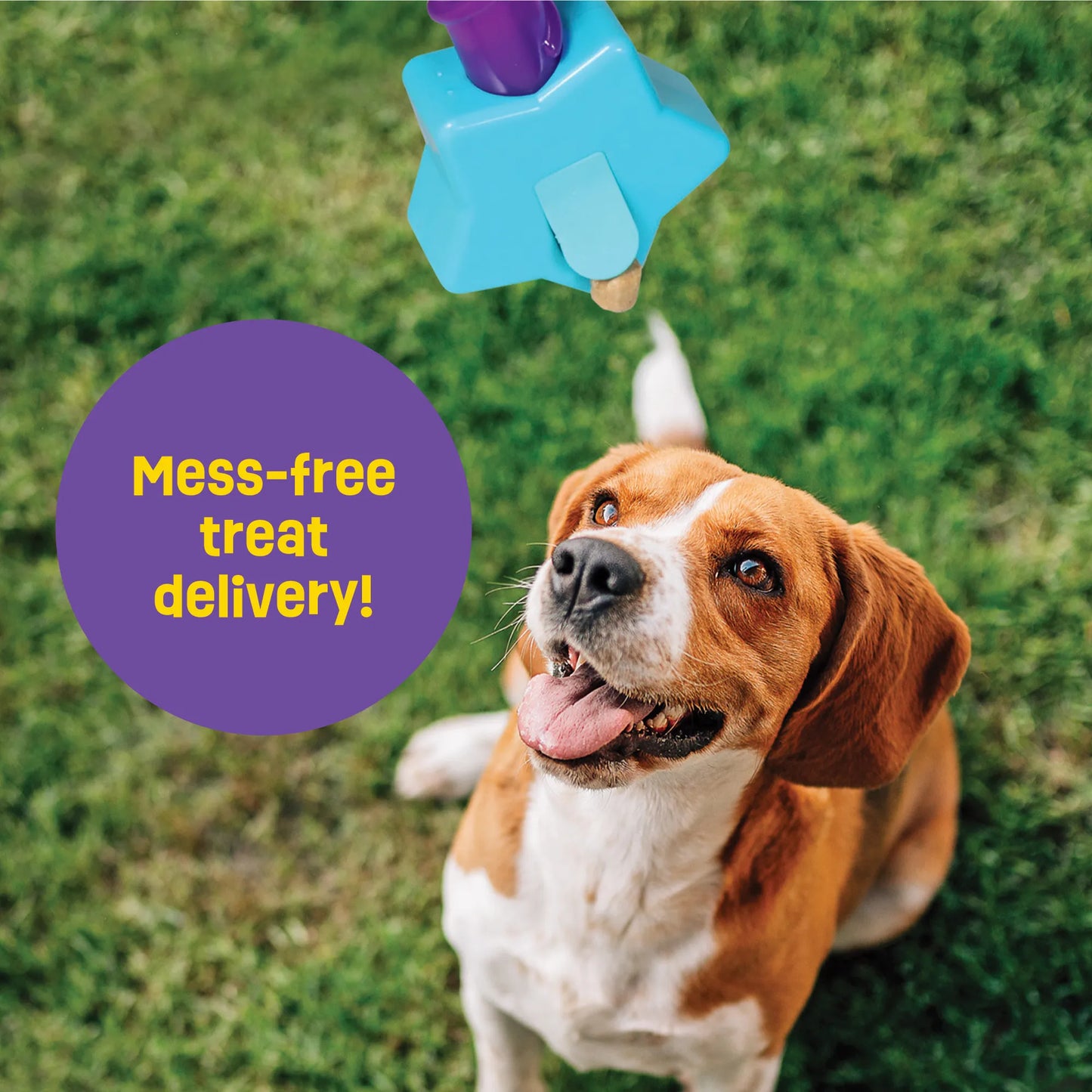 Magic Wand Treat Dispenser Star