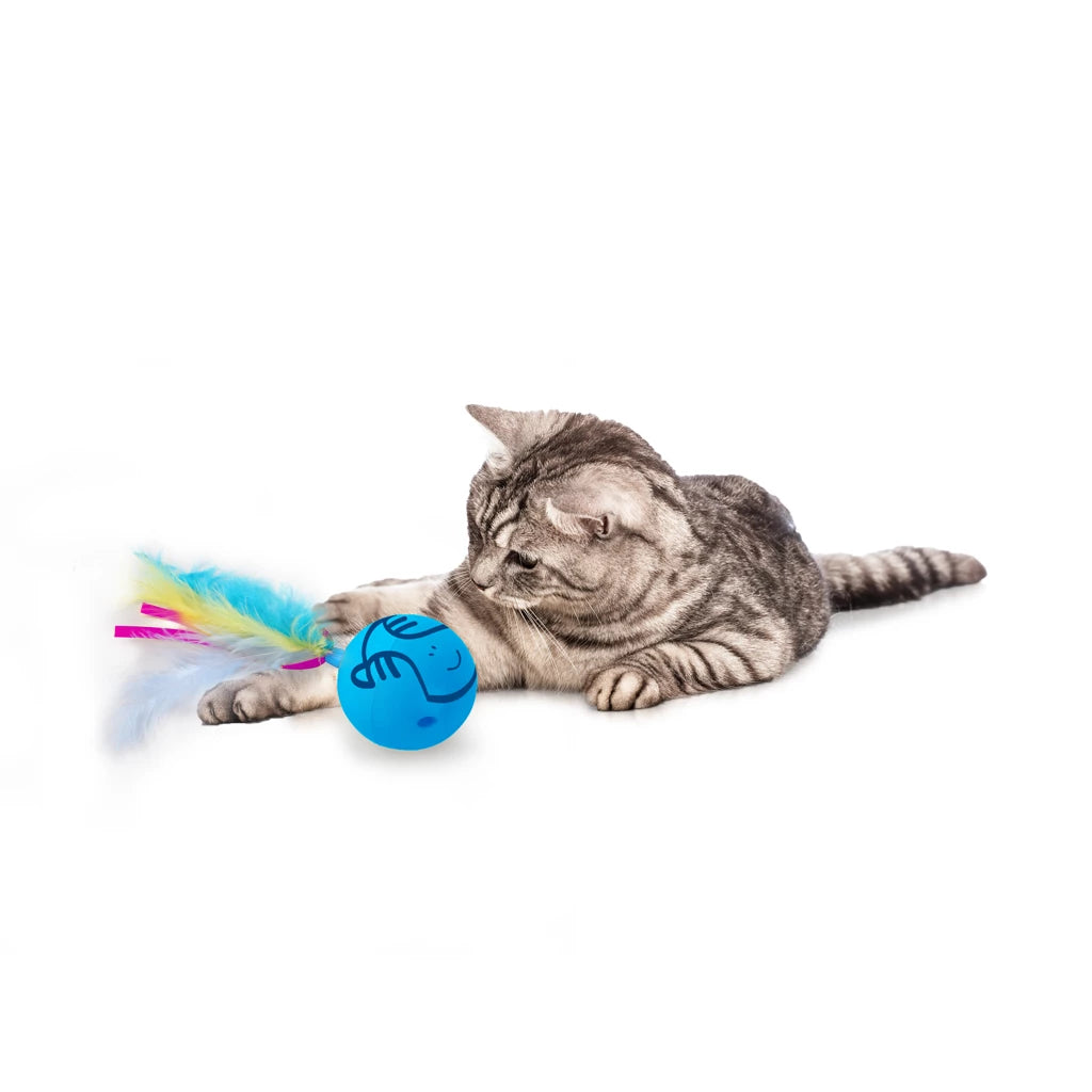 Cat Dizzy Spinner