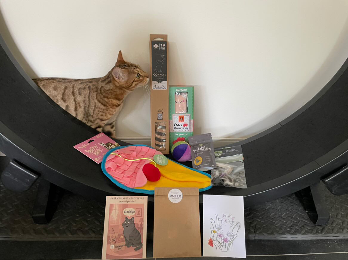 Binnenkattenbox (abonnement)