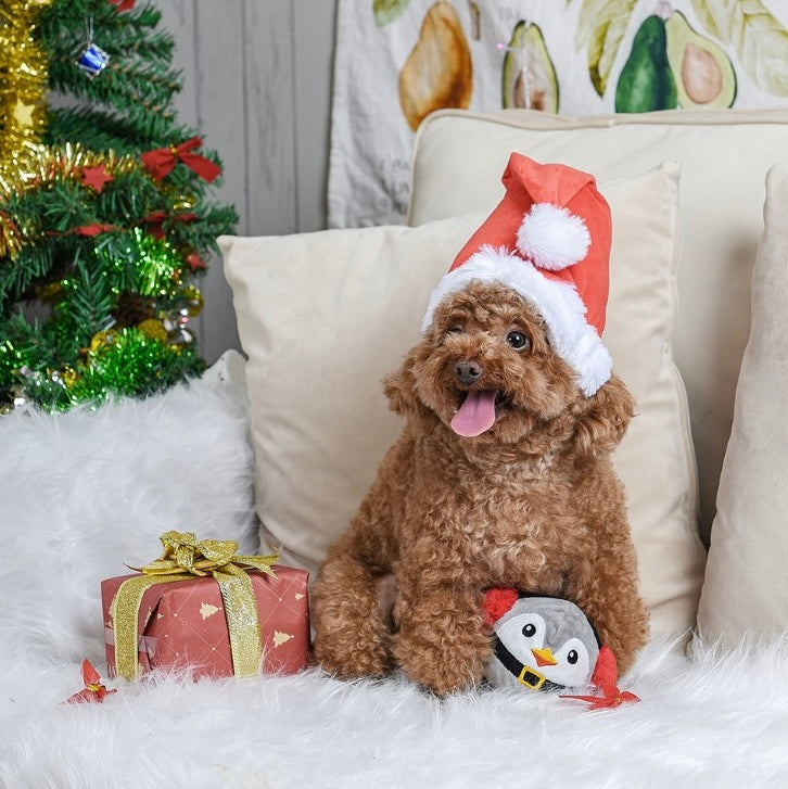 Happy Woofmas - Pinguïn