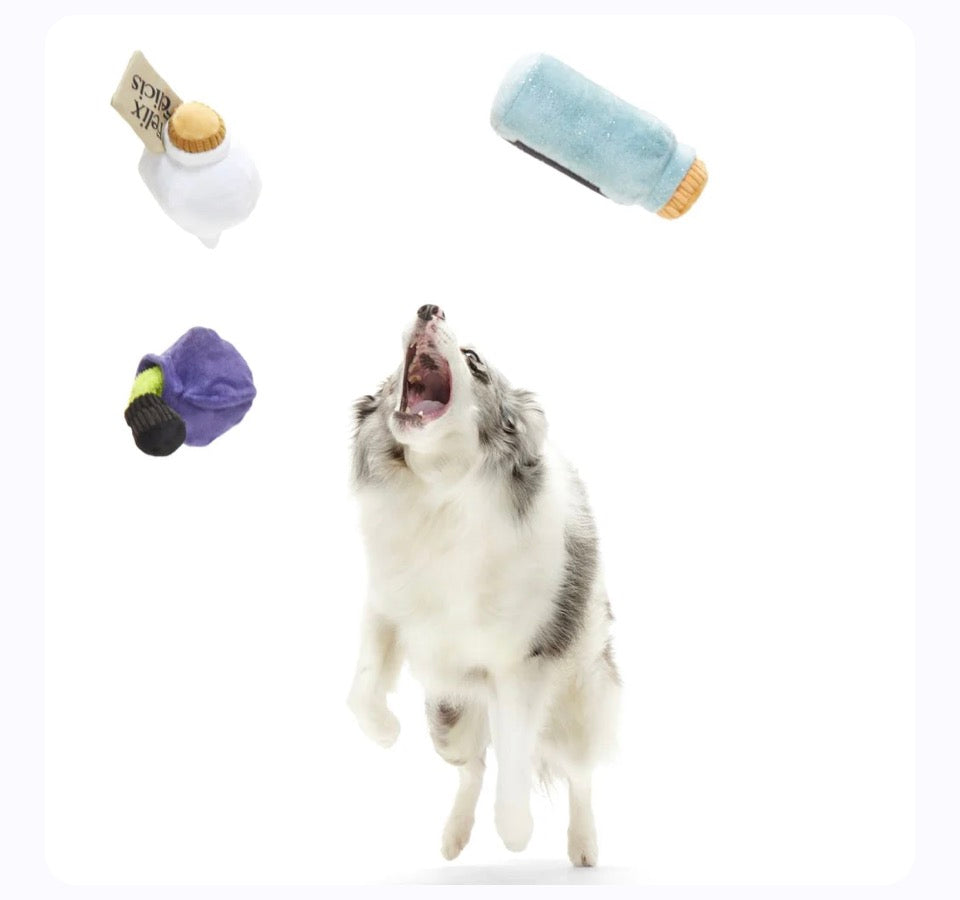 Potions Pack Up Harry Potter (XS-S)