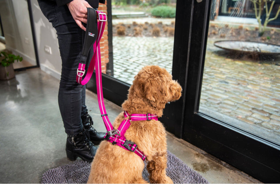 Expedition Sky Tuigje Fuschia
