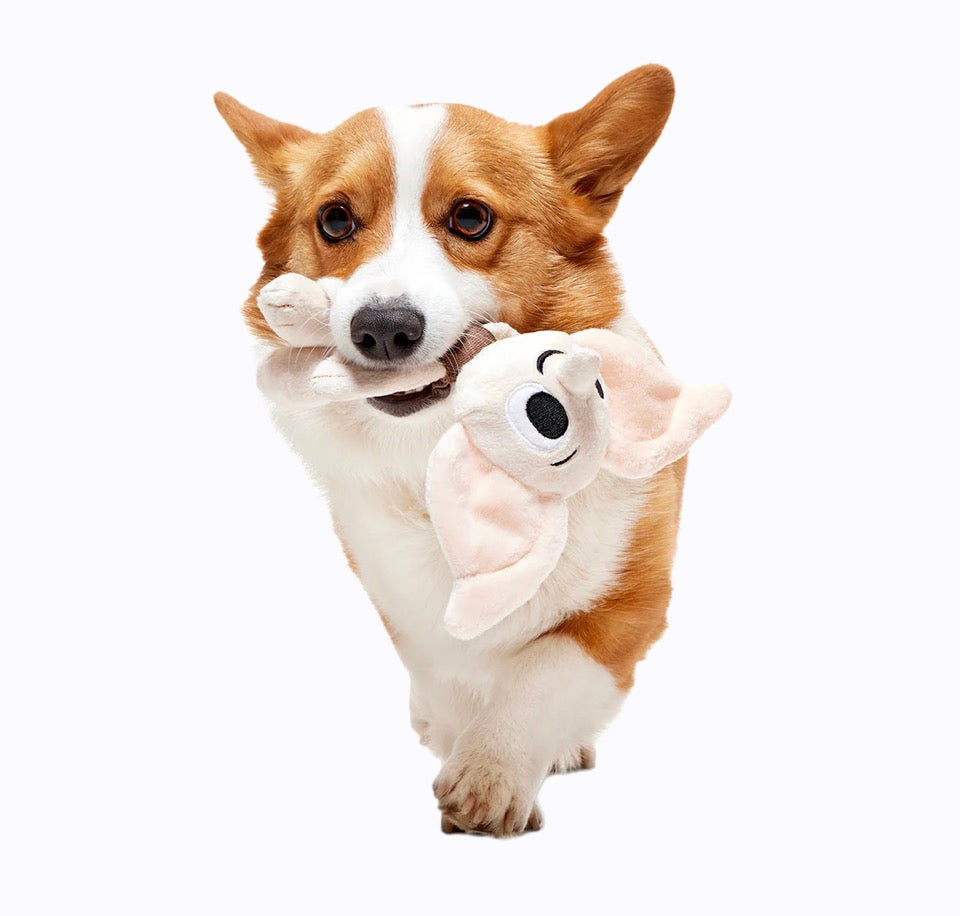 Harry Potter Dobby met verrassingsspeeltje