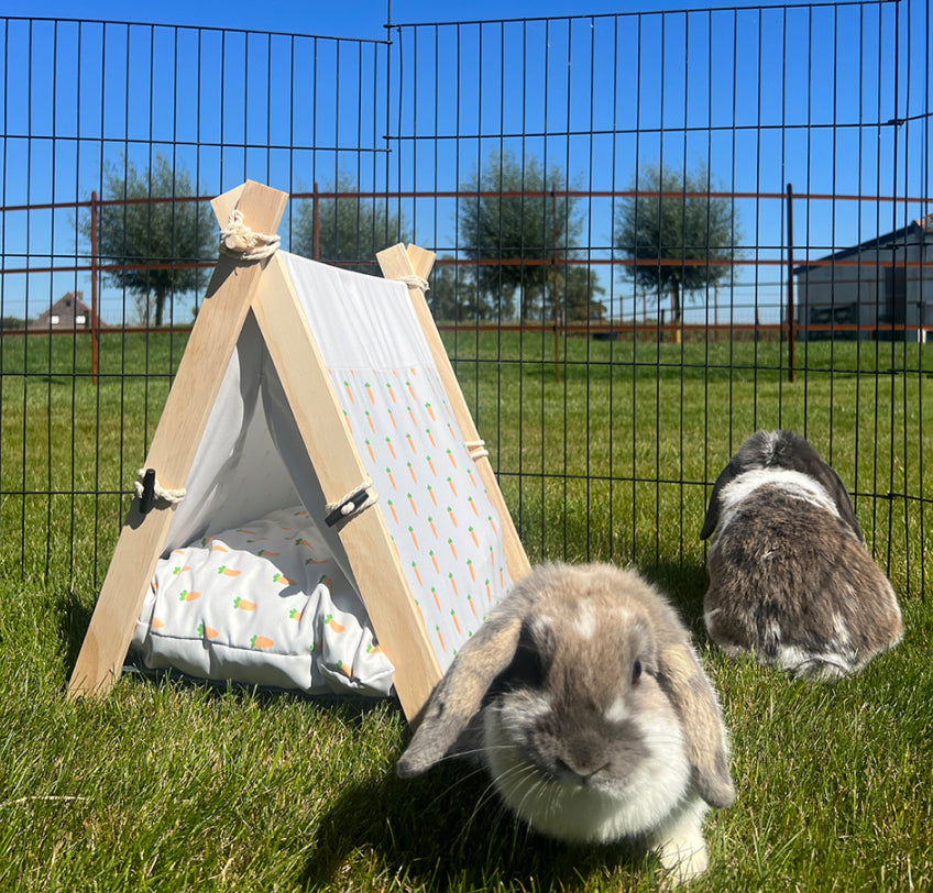 Wortel Tipi