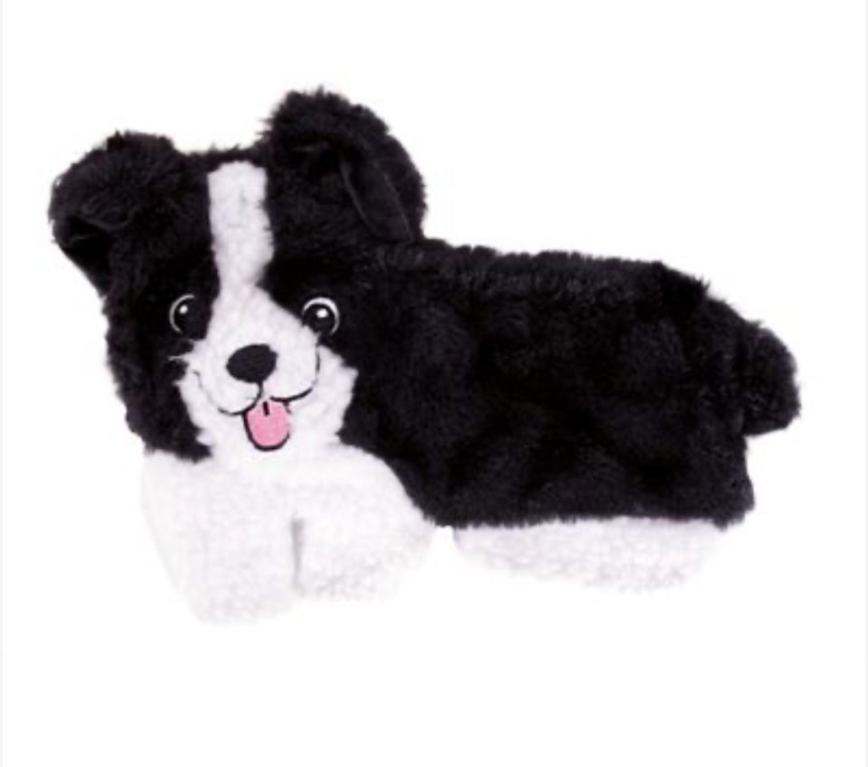 Puppy Home Border Collie