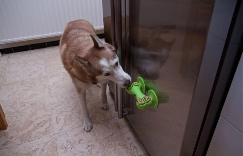 Chase ‘n Chomp Sticky Bone