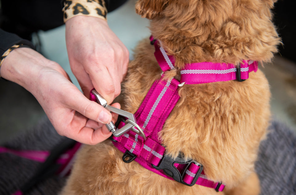 Expedition Sky Tuigje Fuschia