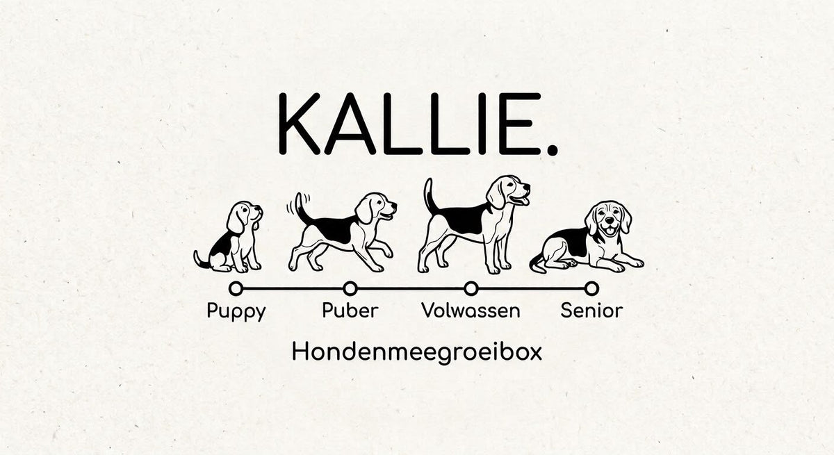 Hondenmeegroeibox (abonnement)