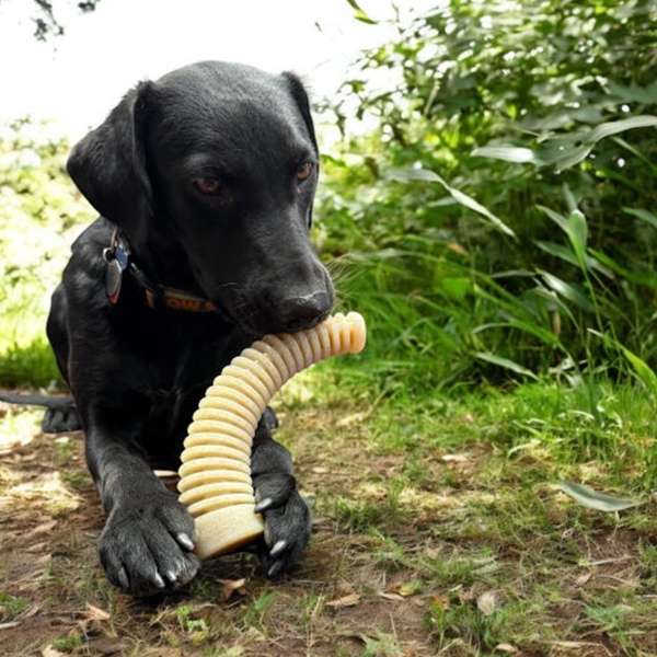 SodaPup Honey Bone Dental Antler Nylon – Bruin