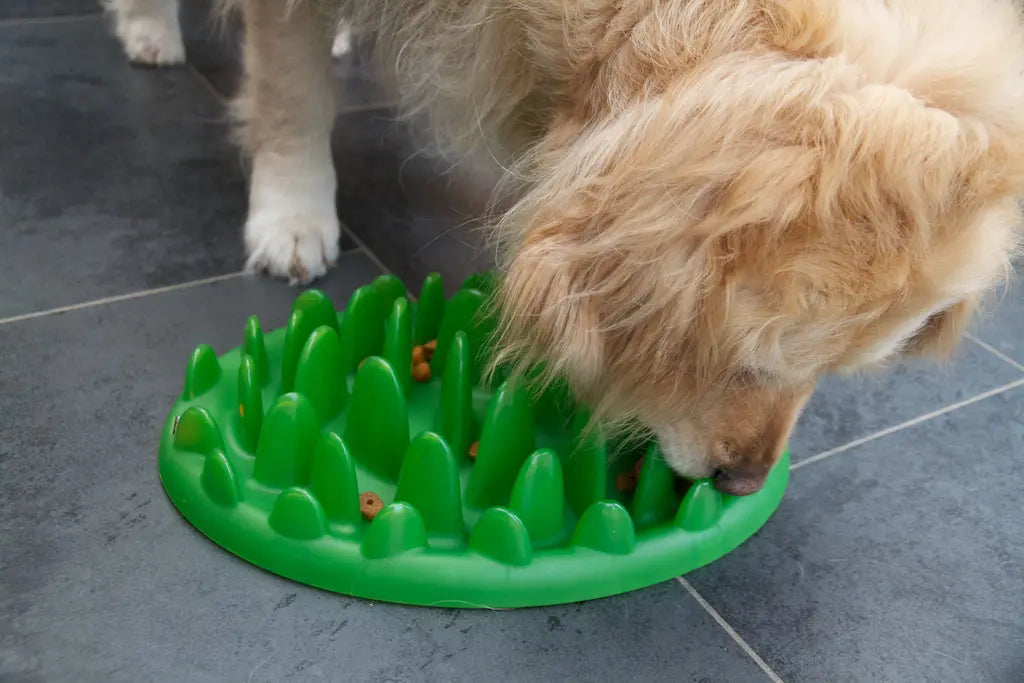 Anti-schrokvoerbak Green