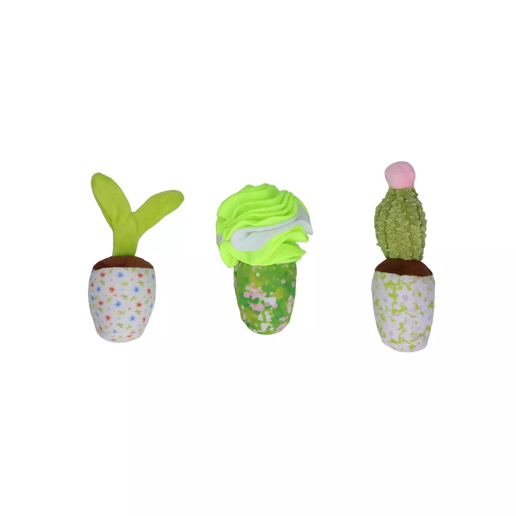 Garden Paws Snuffle Box