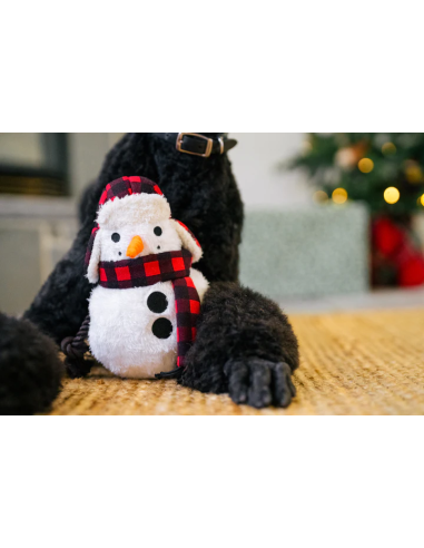 Home for the Holidays - Sneeuwman