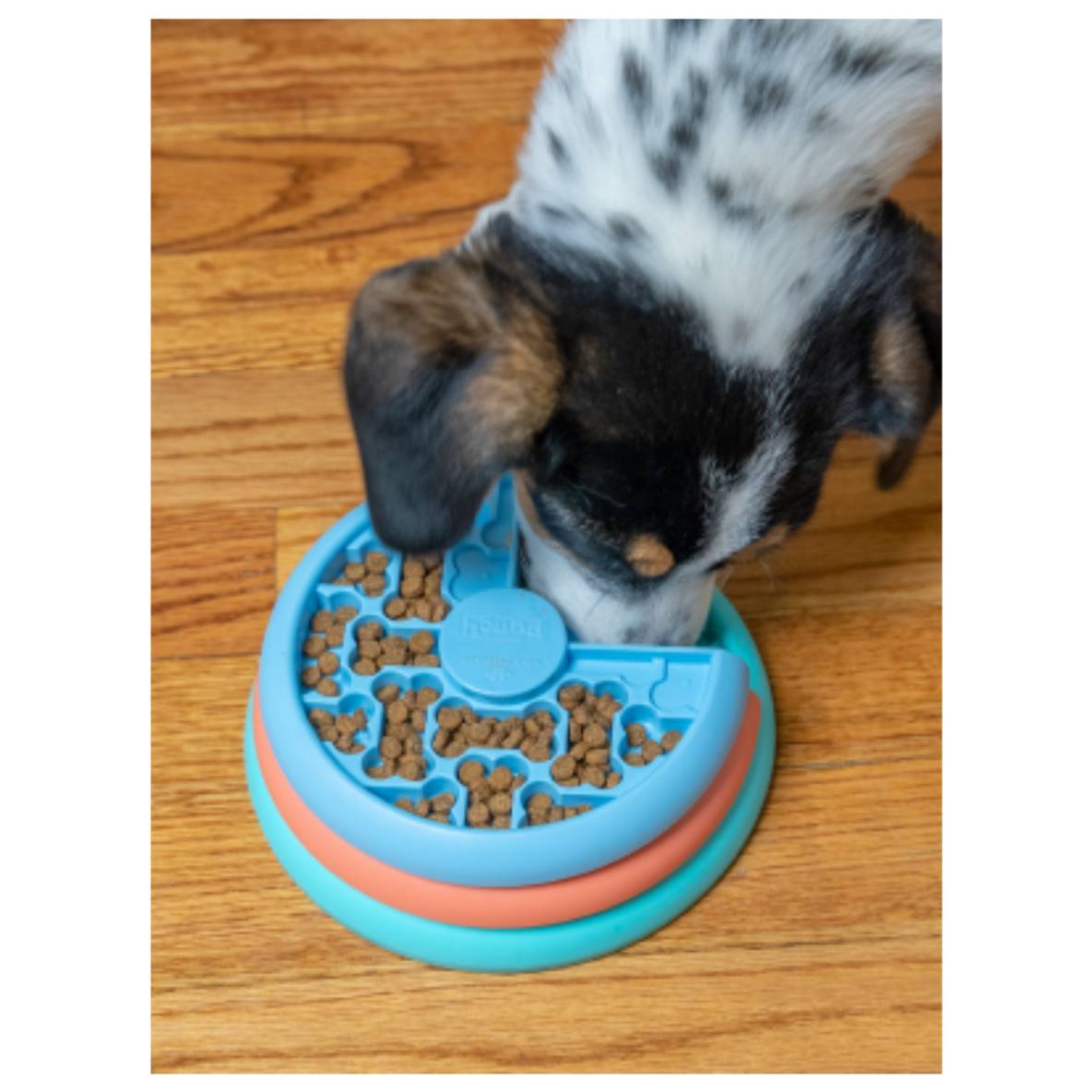 Puppy Lickin' Layers