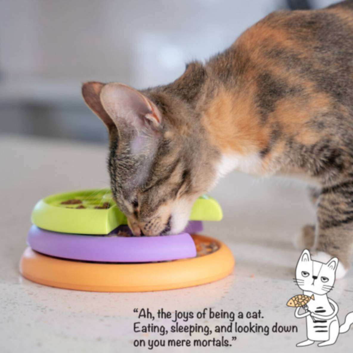 Kitty Lickin' Layers