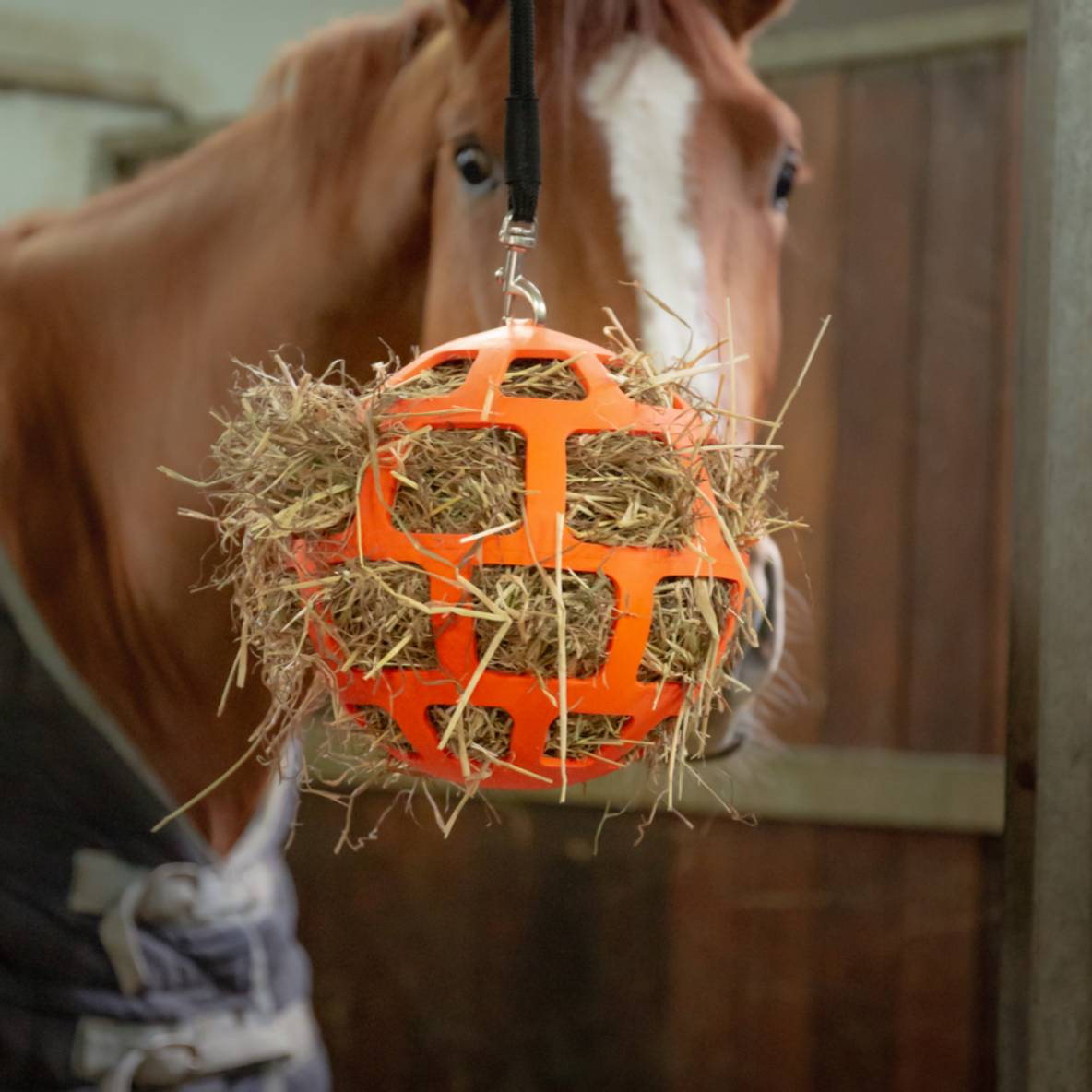 Hay Slow Feeder Fun and Flex - oranje