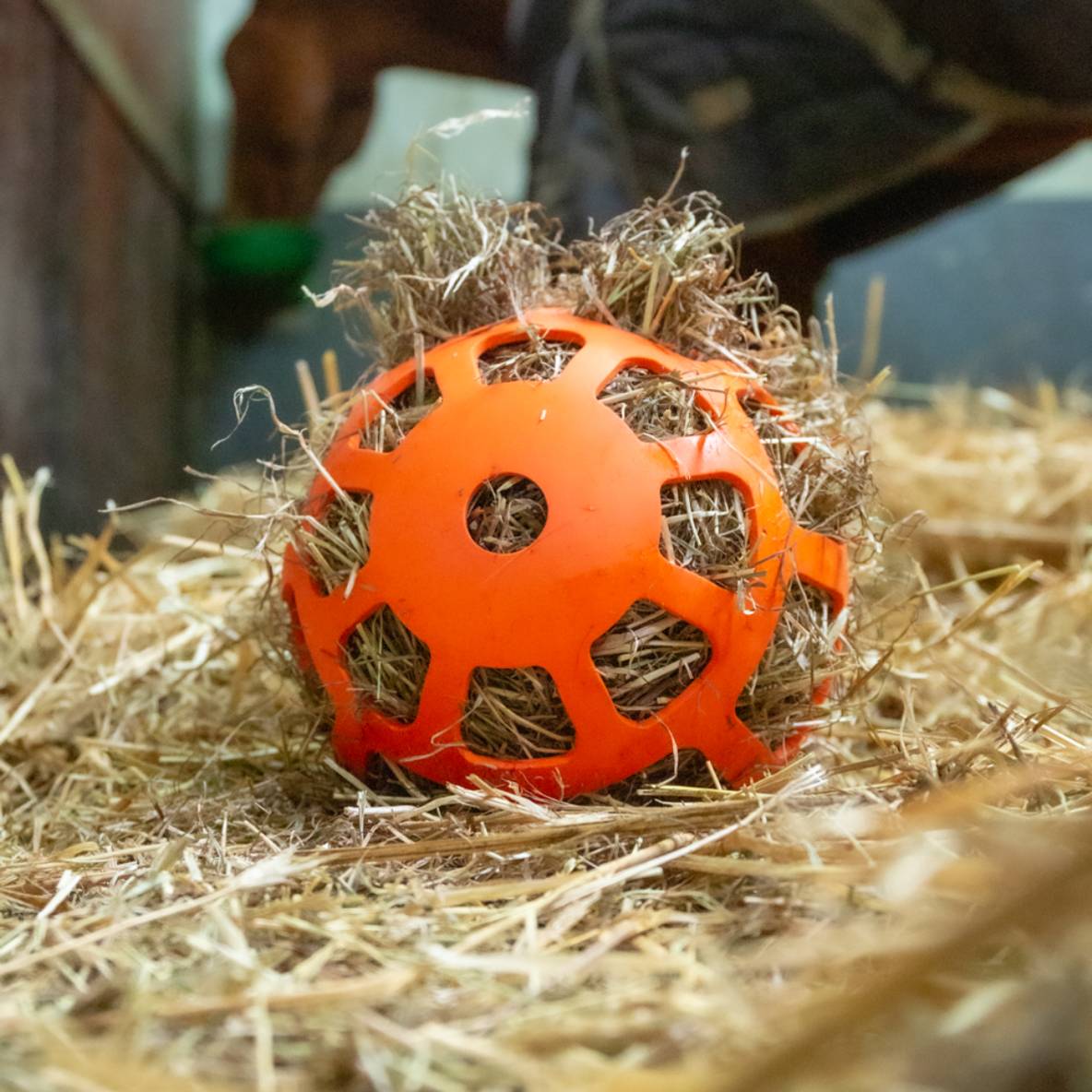 Hay Slow Feeder Fun and Flex - oranje