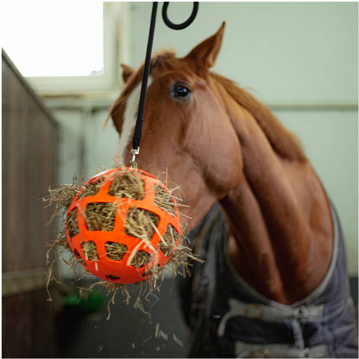 Hay Slow Feeder Fun and Flex - oranje