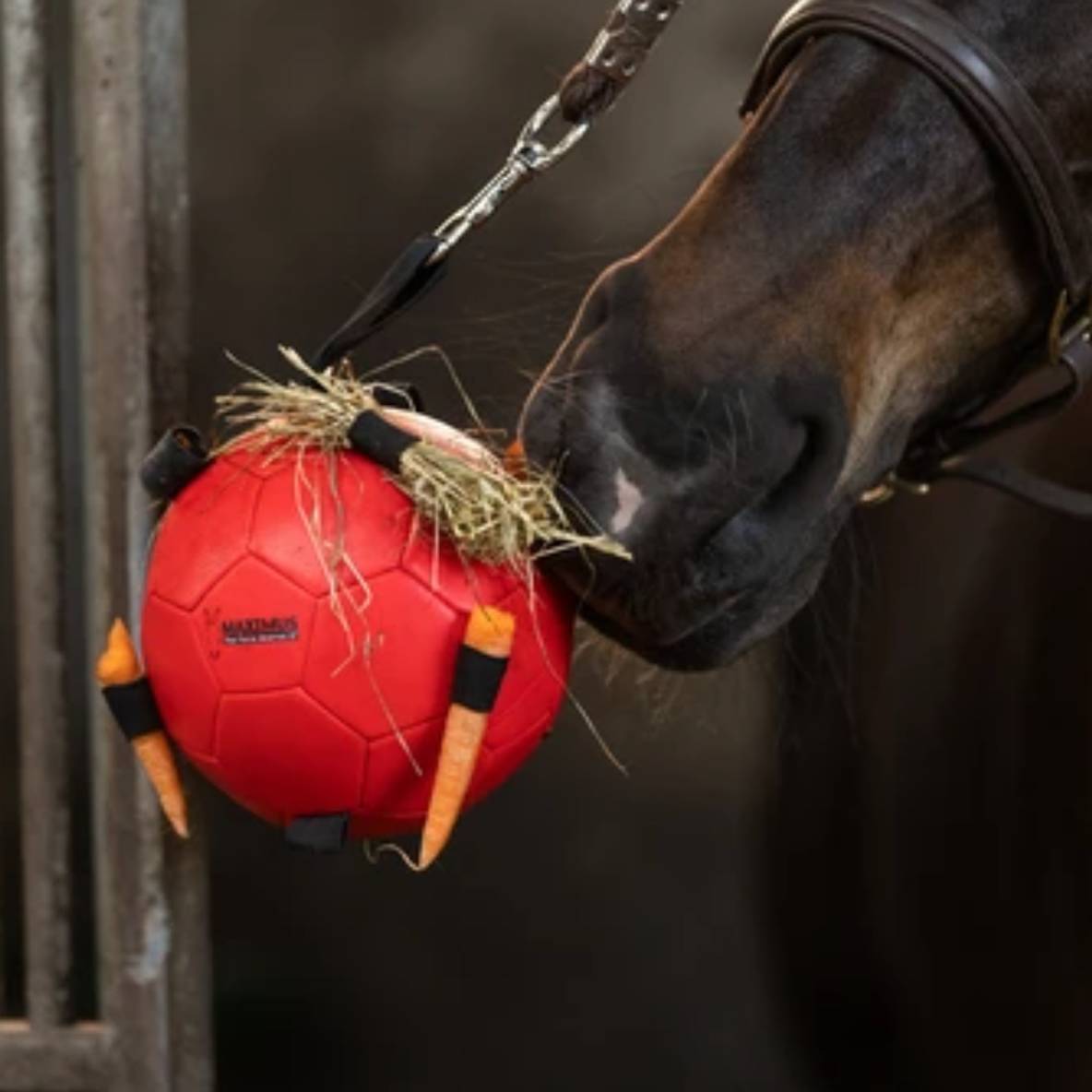 Maximus Fun Play Ball (rood)