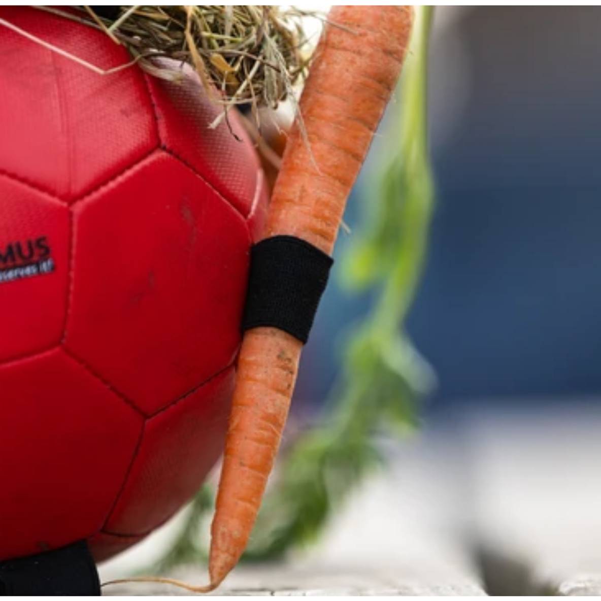 Maximus Fun Play Ball (rood)