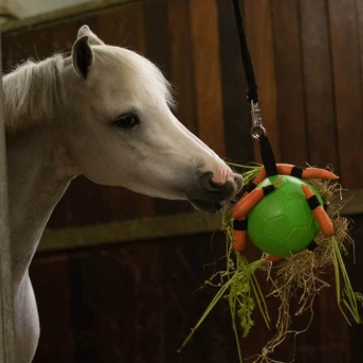 Maximus Fun Play Ball (rood)
