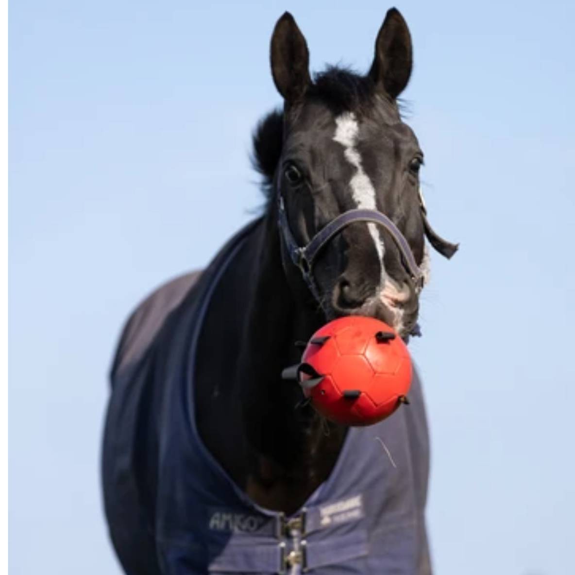 Maximus Fun Play Ball (rood)