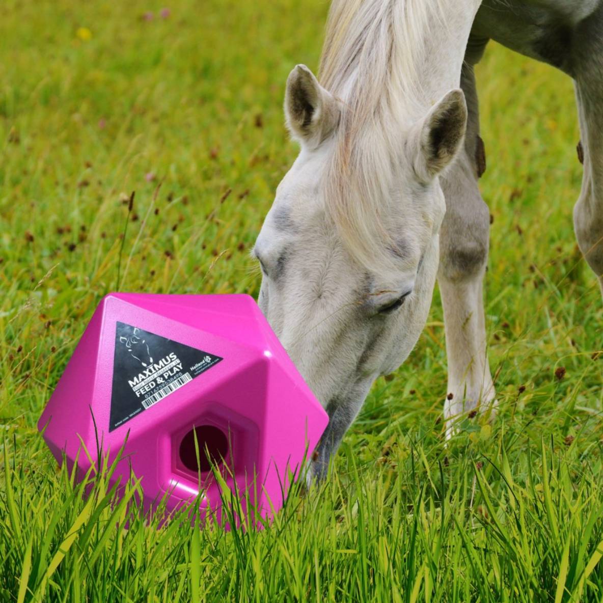 Maximus Feed & Play (roze)