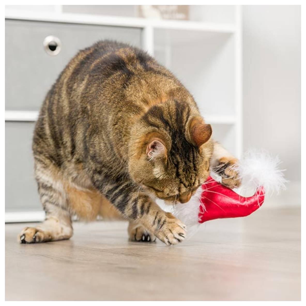 Kittybelles 2-Pack Santa Hat & Sweet Thing Candy